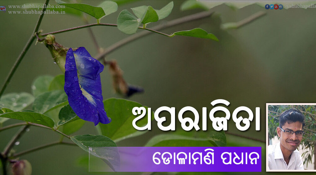 Odia Poem Aparajita (ଅପରାଜିତା) by Dolamani Padhan