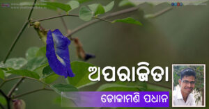 Odia Poem Aparajita (ଅପରାଜିତା) by Dolamani Padhan