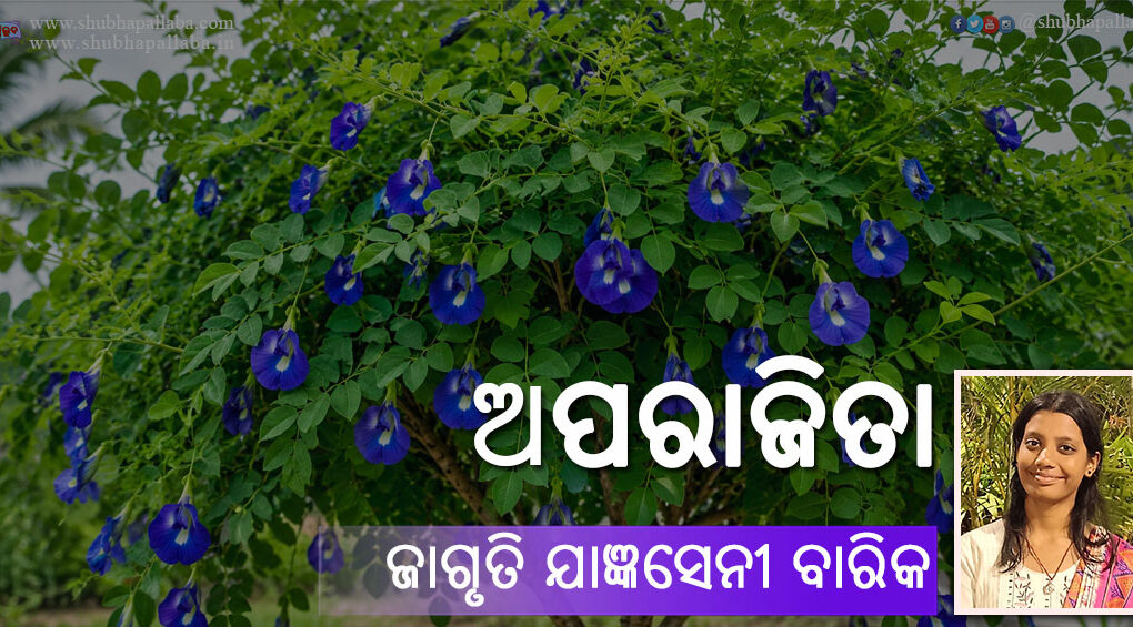 Odia Poem Aparajita (ଅପରାଜିତା) by Jagruti Jangyaseni Barik