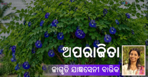 Odia Poem Aparajita (ଅପରାଜିତା) by Jagruti Jangyaseni Barik