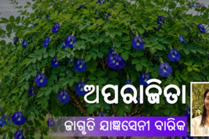 Odia Poem Aparajita (ଅପରାଜିତା) by Jagruti Jangyaseni Barik
