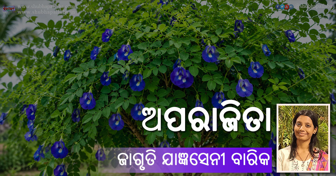 Odia Poem Aparajita (ଅପରାଜିତା) by Jagruti Jangyaseni Barik