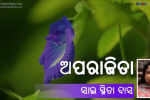 Odia Poem Aparajita (ଅପରାଜିତା) by Sai Smeeta Das