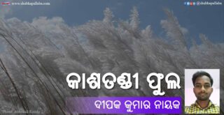 Odia Poem Kashatandi Phula (କାଶତଣ୍ଡୀ ଫୁଲ) by Deepak Kumar Nayak
