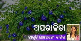 Odia Poem Aparajita (ଅପରାଜିତା) by Jagruti Jangyaseni Barik