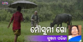 Odia Poem Mousumi Go Pheri Asa (ମୌସୁମୀ ଗୋ ! ଫେରି ଆସ !) by Sushama Parija