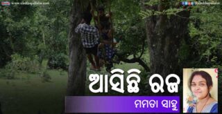 Odia Poem Asichhi Raja (ଆସିଛି ରଜ) by Mamata Sahu